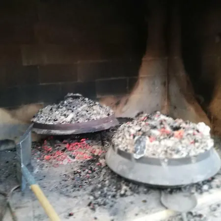 Mimi * Vir